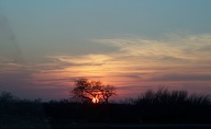 A west Texas sunset, as we drive along I-20.